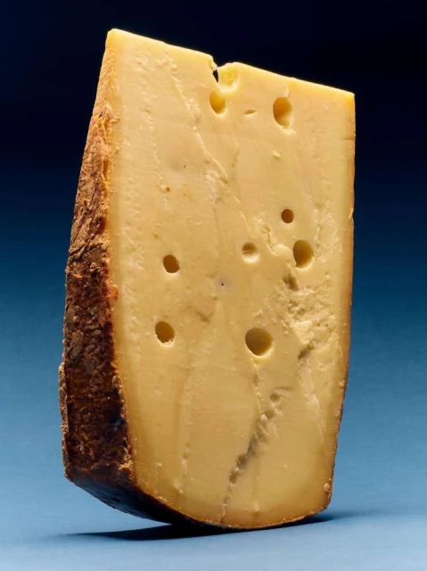 Wedge of cheese with holes, close-up food photography on a dark blue background. Food and beverage still life composition.