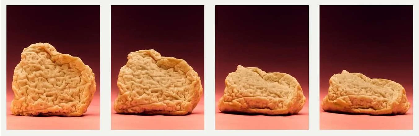 Four blocks of beige tofu stand in a line on a pink surface against a dark red background, showcasing textured surfaces and organic forms.