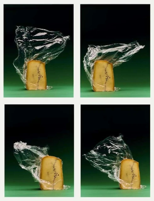 Four images arranged in a grid pattern display cheese blocks wrapped in plastic, set against a green surface and a dark background.