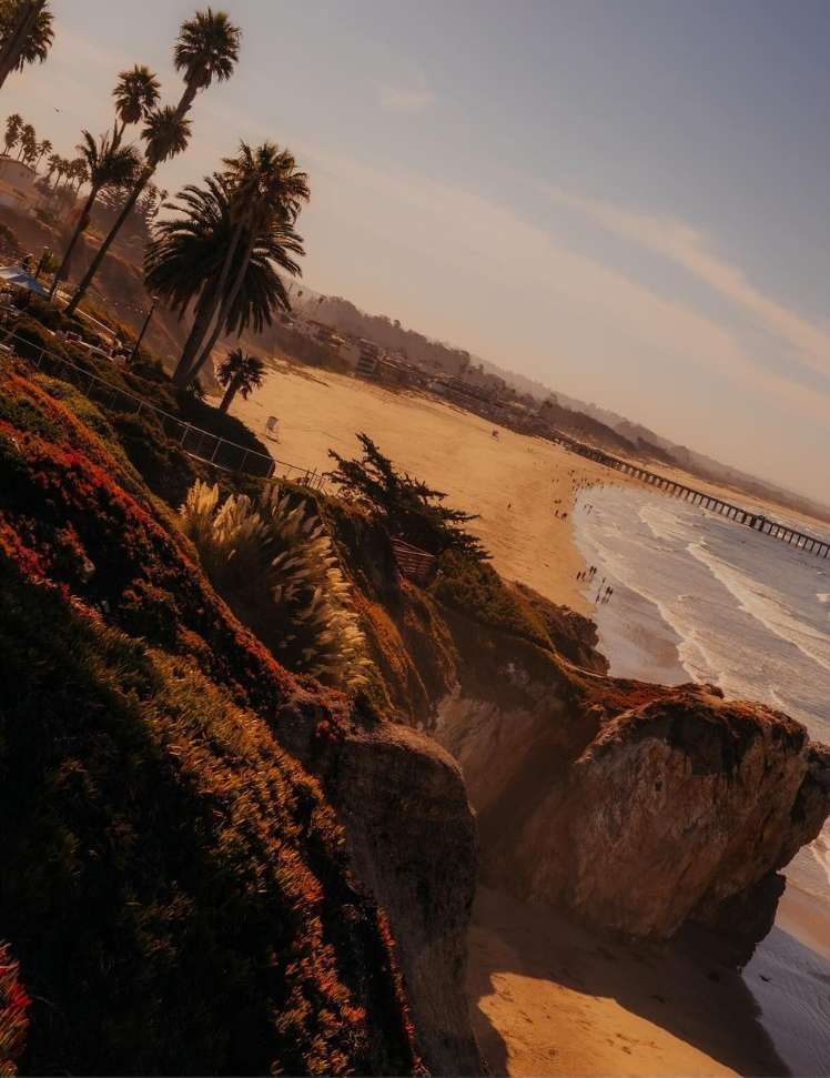 Coastal view of a sandy beach with palm trees, ocean waves, and a pier extending into the water under a clear sky during daytime.