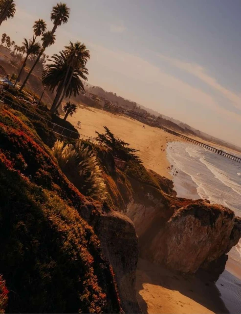 Coastal view of a sandy beach with palm trees, ocean waves, and a pier extending into the water under a clear sky during daytime.