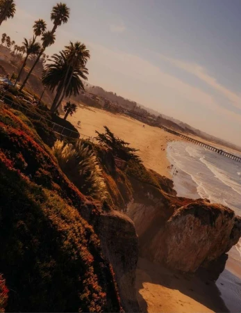 Coastal view of a sandy beach with palm trees, ocean waves, and a pier extending into the water under a clear sky during daytime.
