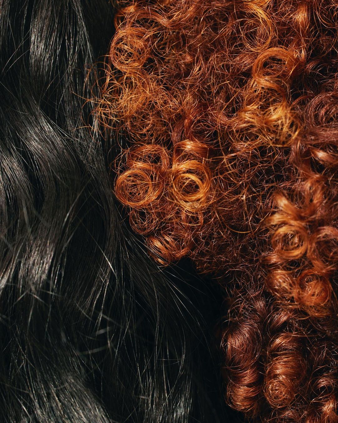 Close-up showcasing textured black and red-brown curly hair, ideal for hair care, beauty product ads, or hairstyle inspiration.
