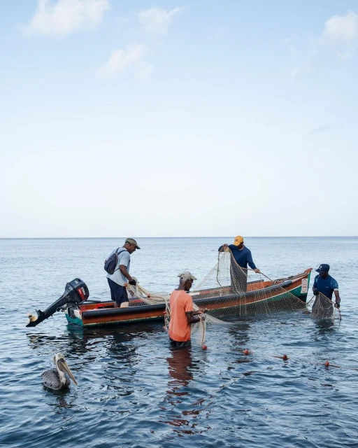 Four fishermen cast nets from fishing boats into ocean water with a brown pelican swimming nearby under a sunny sky.