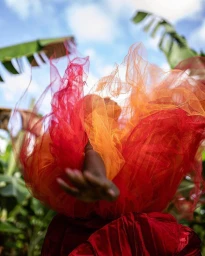 Portrait by Melissa Alcena of a person wearing vibrant red and orange tulle fabric against tropical leaves and sky.