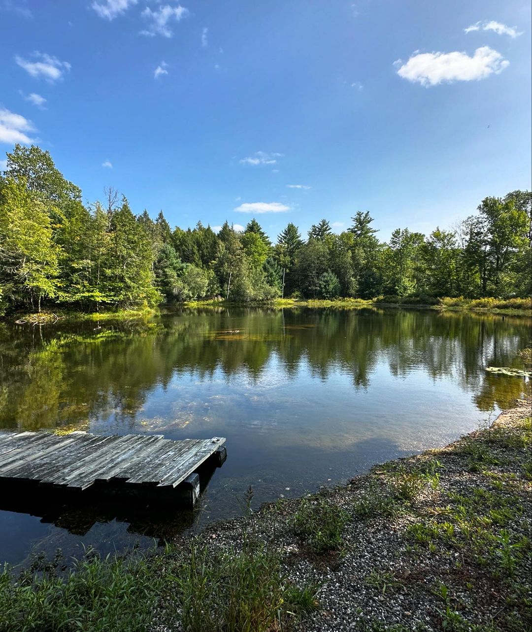 Scenic view of a calm lake surrounded by lush green trees under a blue sky with scattered clouds, with a wooden dock in the foreground.