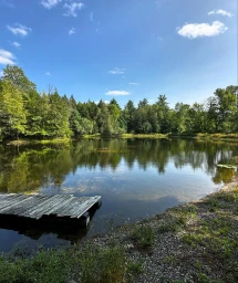 Wooden dock on a calm lake surrounded by dense green forest under a blue sky with scattered clouds, photographed by Melodie Mcdaniel.