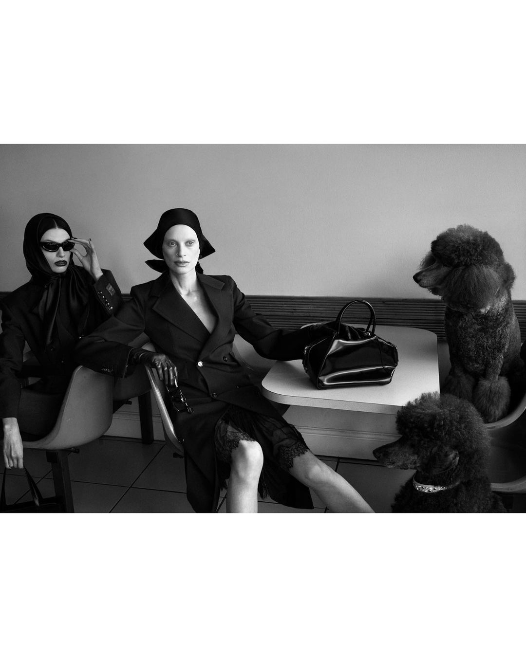 Black and white shot of two women in dark suits, seated next to two poodles in a minimalist setting with a neutral wall background.