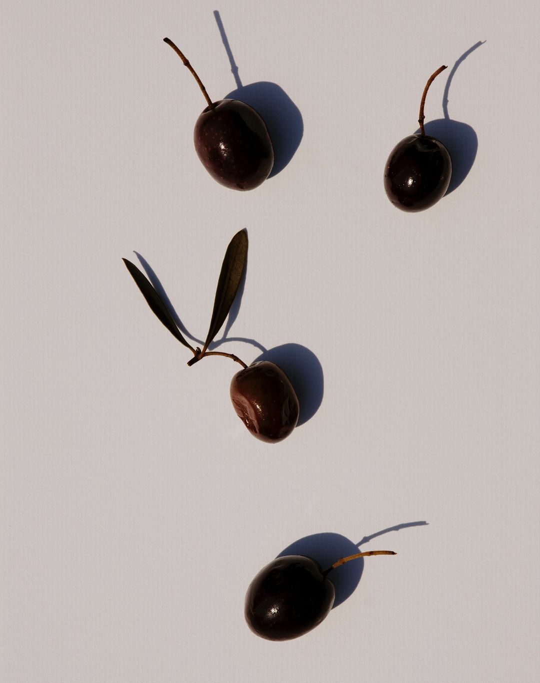 Studio shot features four shiny dark brown olives, one with a stem and leaves, on a light background creating shadows.