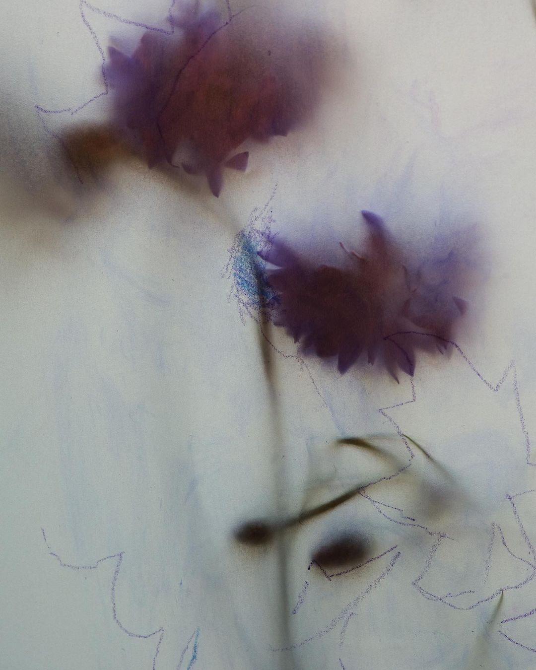 Dreamy abstract art featuring blurred purple flowers with soft, diffused lighting against a neutral, textured background creating a serene mood.