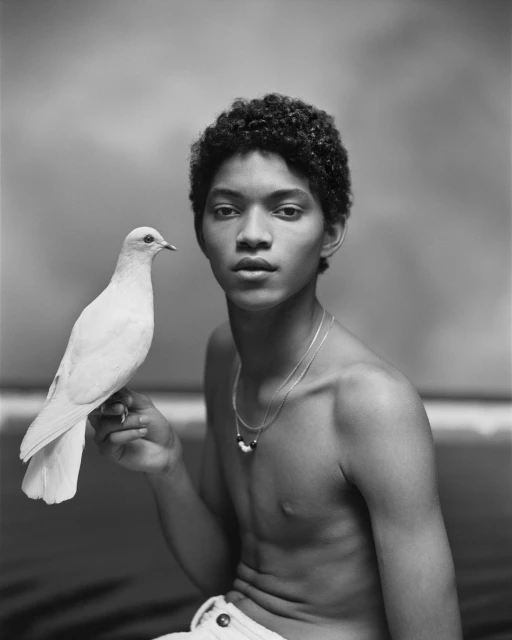Striking black and white portrait of a shirtless young man holding a white dove, against a textured backdrop, showcasing natural hair.