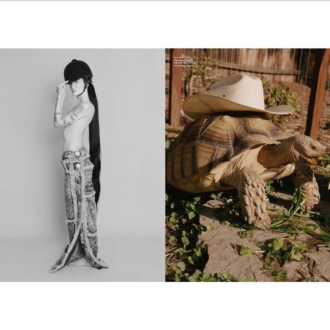 Split image featuring a model in avant-garde fashion and a turtle wearing a cowboy hat in an outdoor setting with vegetation.