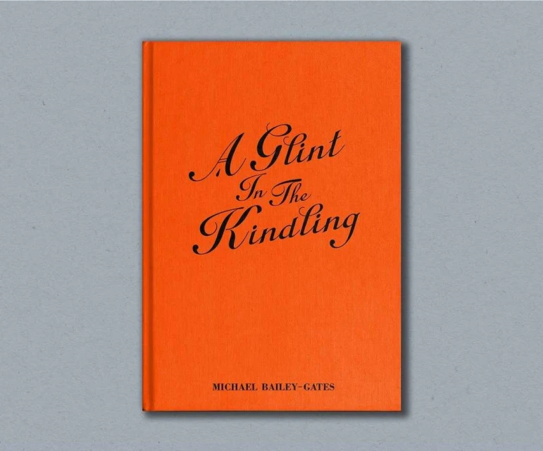 Bright orange book cover featuring black calligraphy text against a light gray background, creating a bold visual contrast.