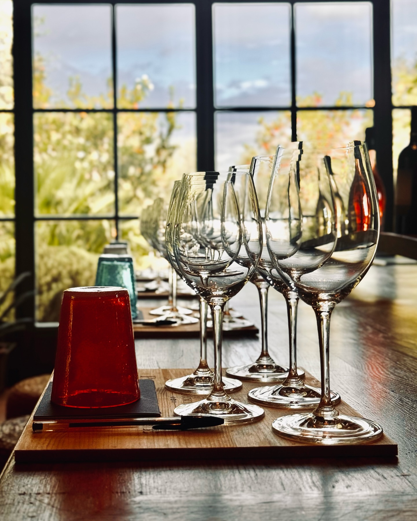 Elegant wine tasting scene featuring wine glasses and carafes on a wooden table with a window and outdoor scenery in the background.