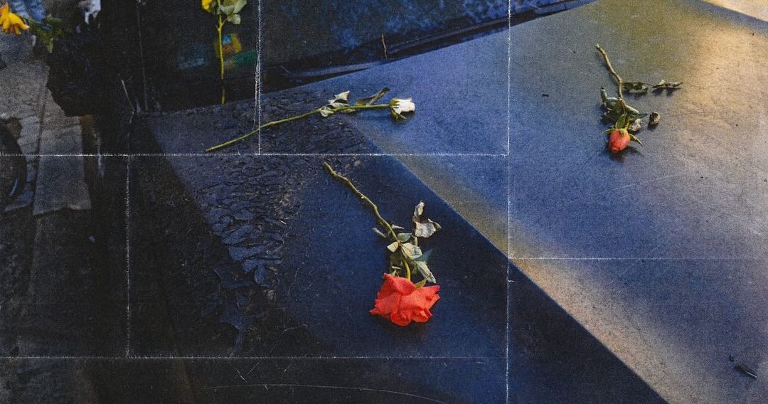 Still life photograph of withered roses on a dark, reflective surface, with desaturated colors and visible scratches.