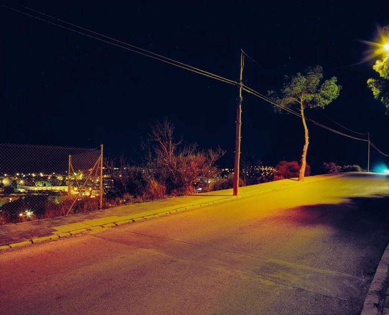 Night scene along a road with street lights illuminating a tree and foliage, with a distant cityscape under a dark sky.