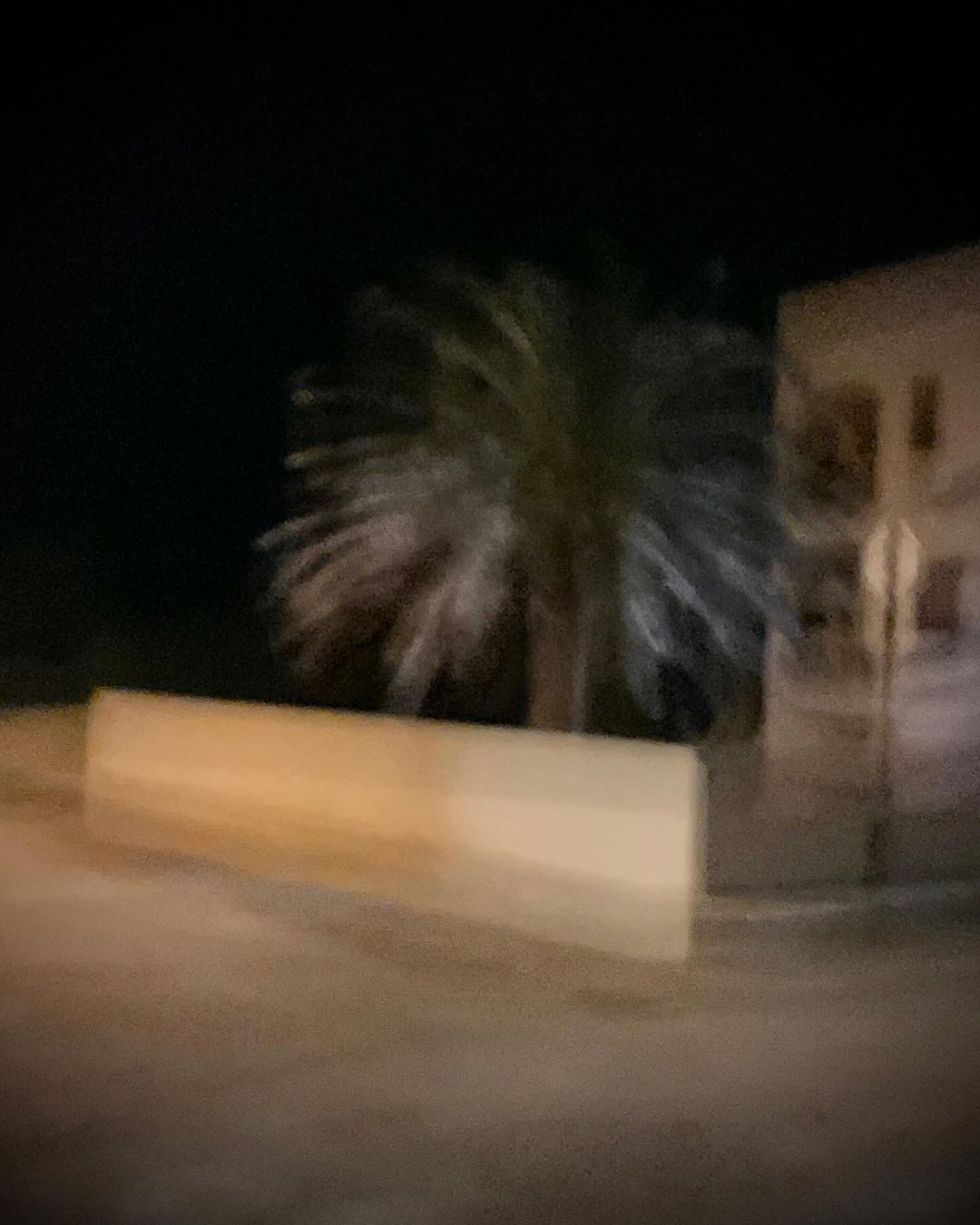 Night scene featuring a blurry palm tree and a low wall, with a building visible in the background, all under a dark sky.