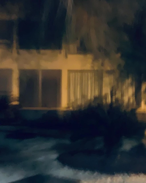 Exterior shot of a house at night featuring a well-lit facade, surrounded by dark trees and plants, and reflected in a wet surface.
