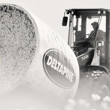 Cotton harvest: a machine operator drives a tractor holding a large round module of harvested cotton in a field during daylight.