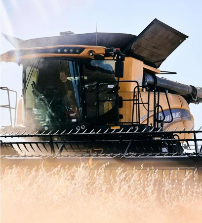 Harvesting machine works in a field of wheat on a sunny day, adult man in the cab, agricultural scene of an industrial harvester.