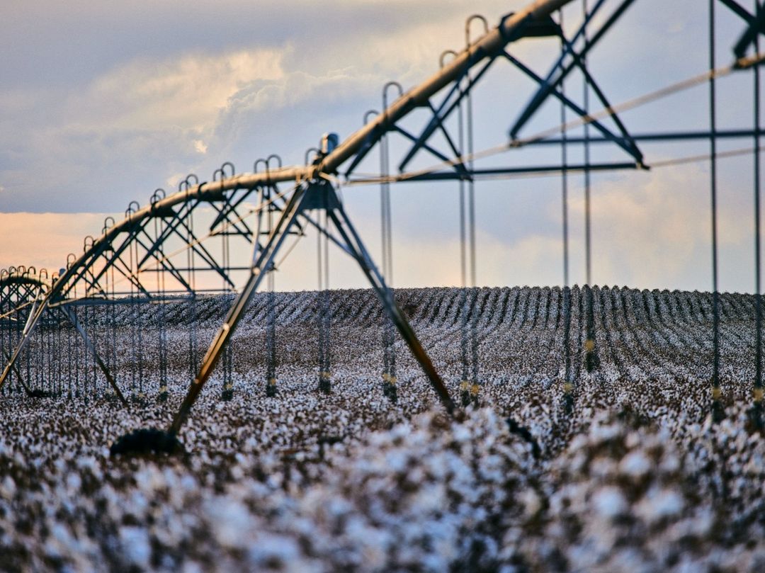 Center pivot irrigation system in field, cultivating cotton crop under a cloudy sky at dusk. Agricultural landscape scene.