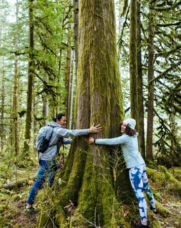 Man and woman embracing a massive moss-covered tree trunk in a dense green forest