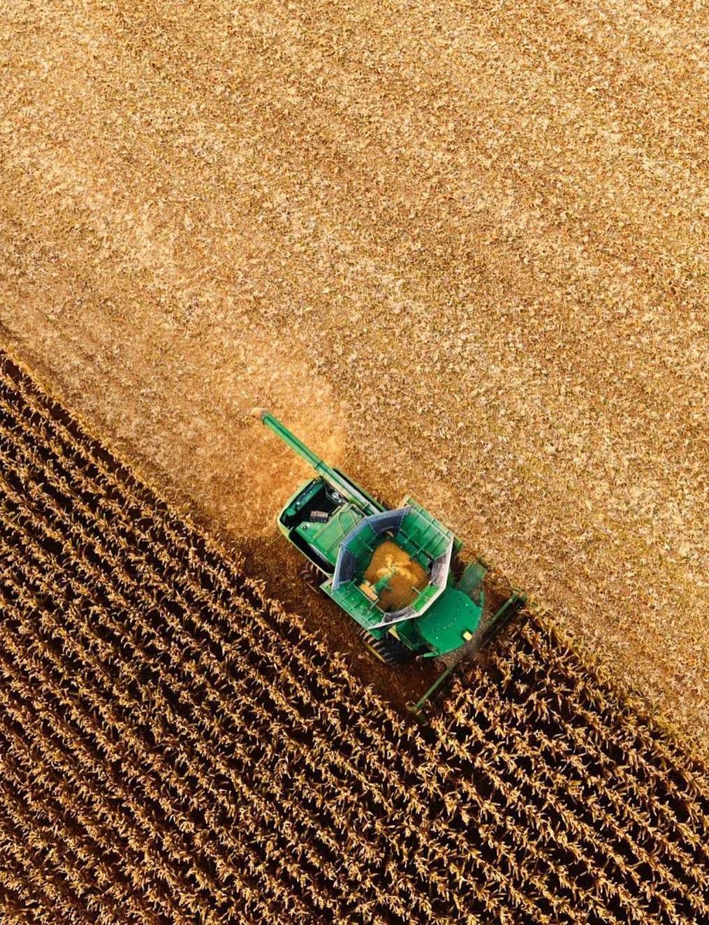 Aerial view of a green combine harvester harvesting crops in a field, with light-brown harvested area and unharvested brown area.