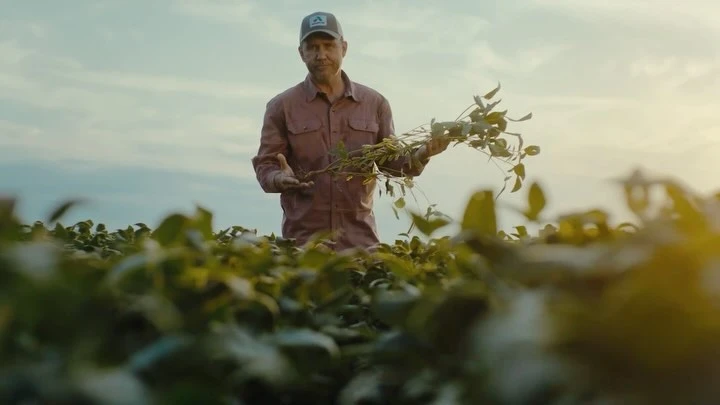 Farmer standing in a crop field holding plants at dusk, wearing a baseball cap and button-down shirt in a scenic outdoor setting.