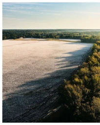 Aerial view of an expansive cotton field bordered by dense green trees under a clear morning sky, photographed by Michael Kunde.