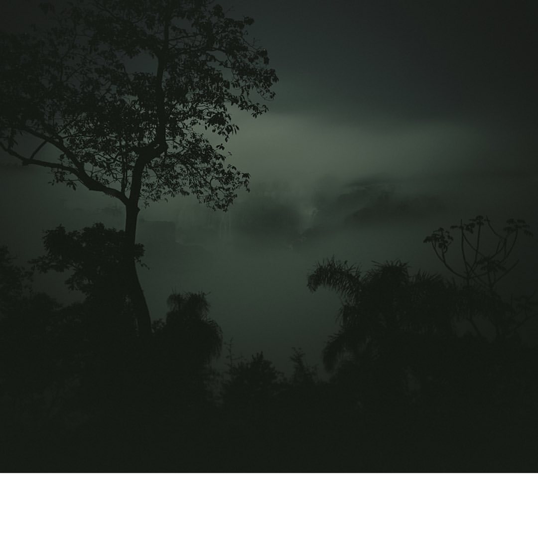 Silhouette of trees and vegetation against a dark, cloudy sky, evoking a sense of mystery in an outdoor environment.