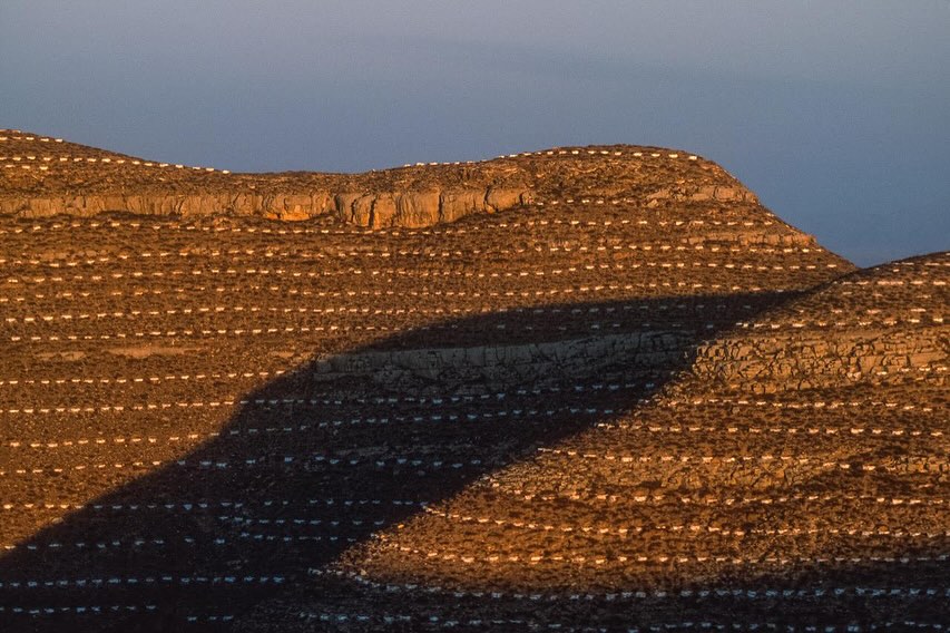 Scenic landscape features a terraced hillside with a large flock of sheep grazing, creating a patterned texture across the terrain.