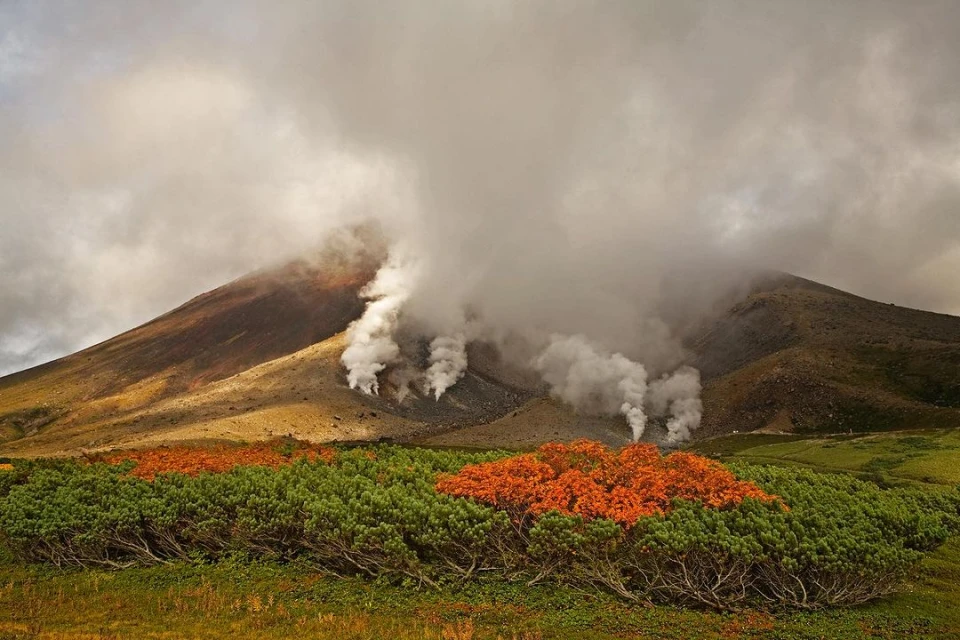 Volcano landscape featuring a dormant mountain with rising steam, set against a cloudy sky, with green and orange foliage in the foreground.