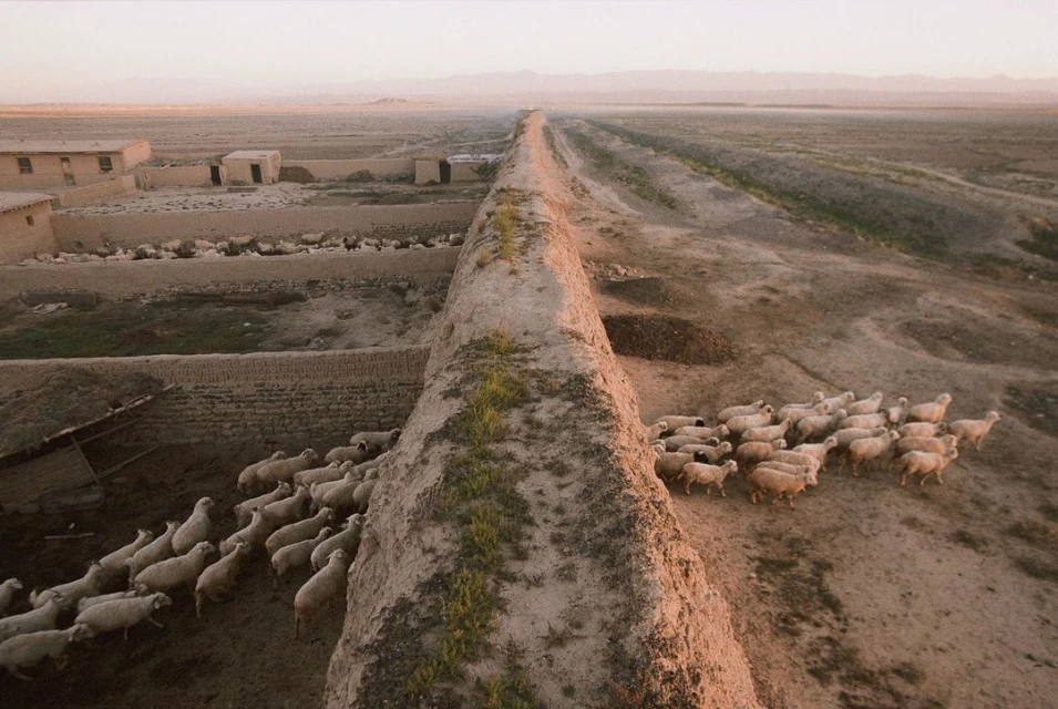Aerial view of a large herd of sheep gathered near a tall, weathered brick wall, with a rural landscape stretching to the horizon.