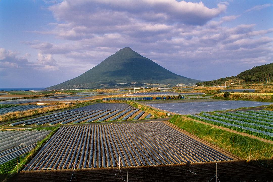 Agricultural landscape with cultivated fields in rows leading to a large, green mountain under a blue sky with scattered clouds.