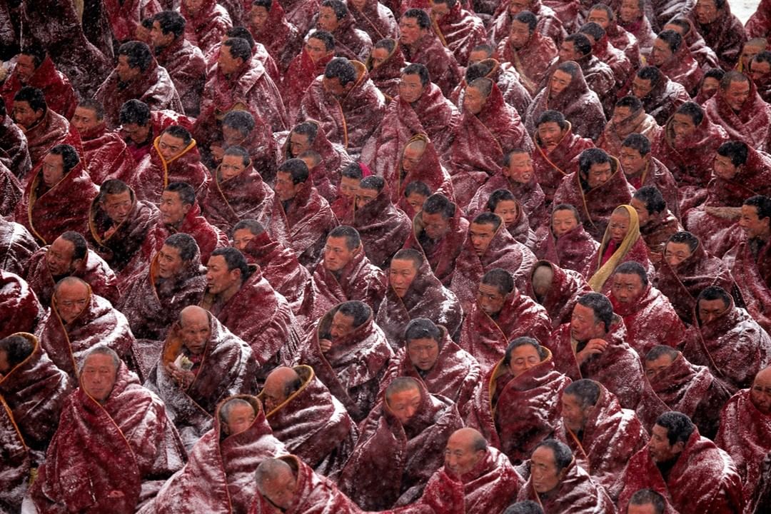 A large group of monks in red robes, many partially covered in snow, are gathered together in an outdoor setting during a snowy day.