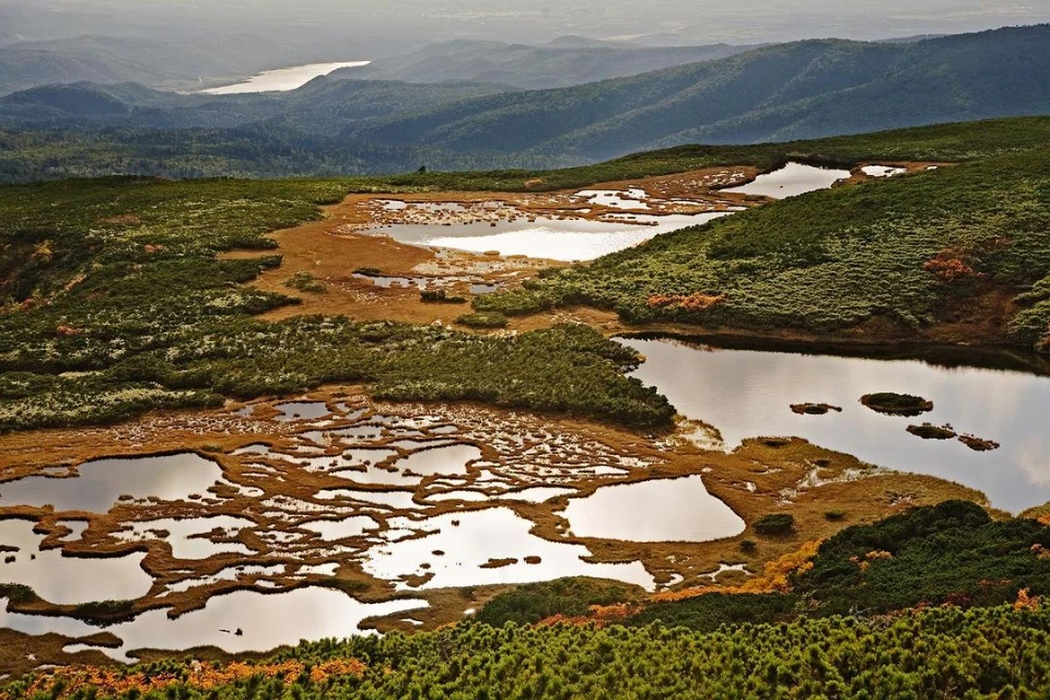 Scenic aerial view of ponds surrounded by greenery with mountains and a lake in the distance, creating a peaceful landscape.