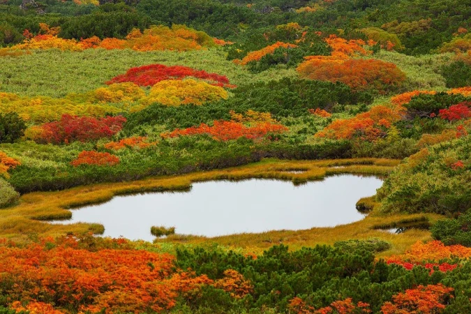 Aerial view of a pond surrounded by vibrant fall foliage in shades of green, orange, yellow, and red in a mountainous landscape.