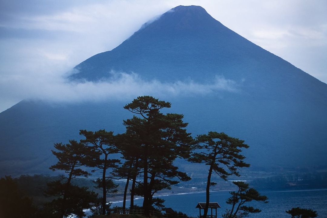 Scenic view of a large, blue-toned mountain partially obscured by low-lying clouds, framed by evergreen trees and a gazebo on a coast.