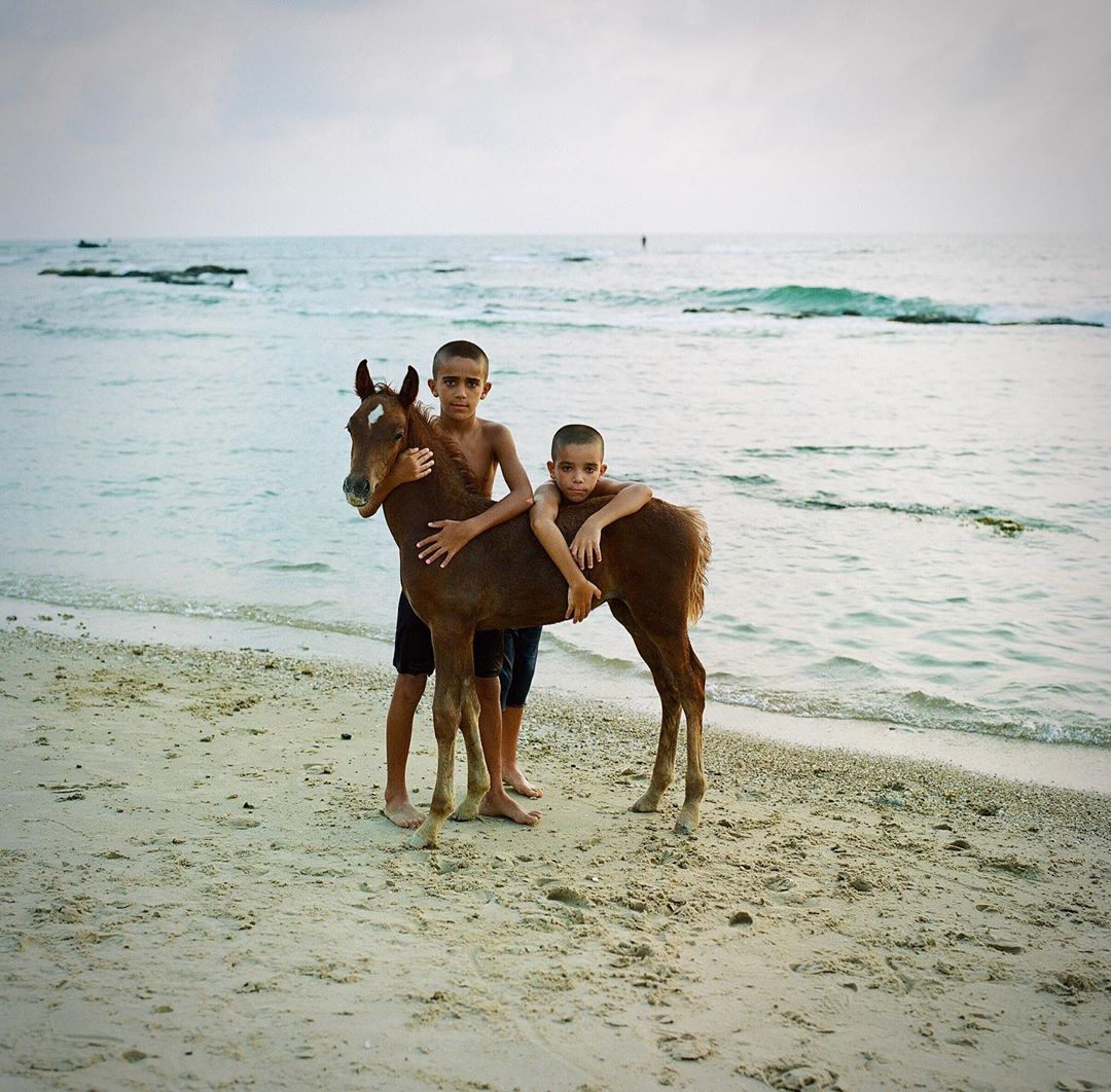 Two young boys embrace a brown foal on a sandy beach with a wavy sea and overcast sky, highlighting youth, companionship, and coastal nature.