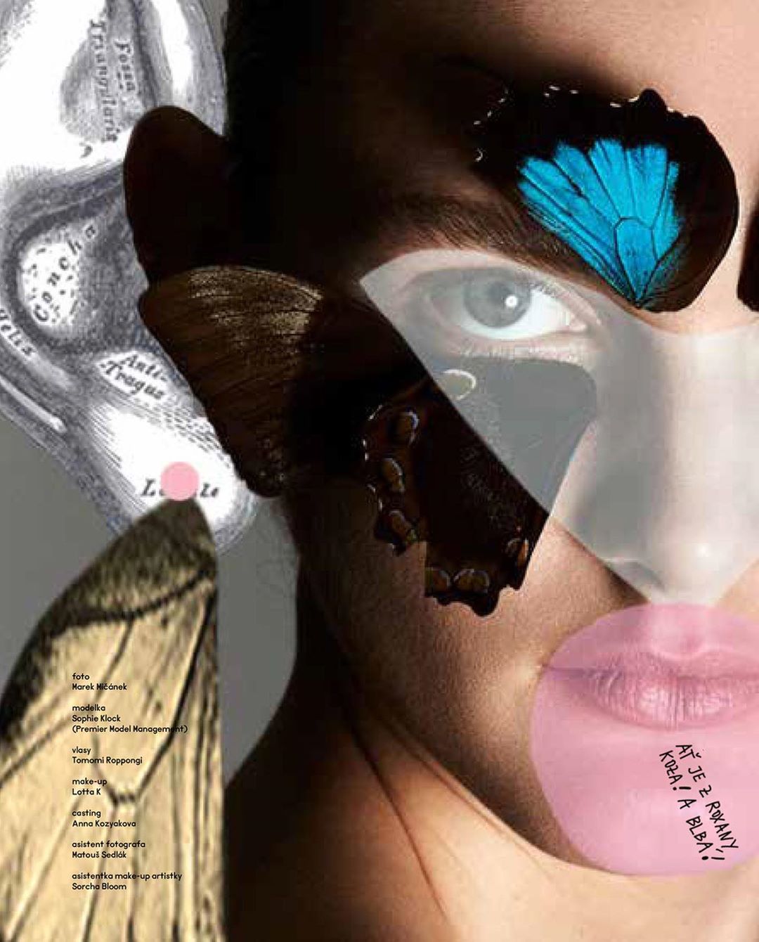 Abstract portrait with adult female, eye, and lip, partially covered with butterfly wings in an unusual artistic and surreal composition.