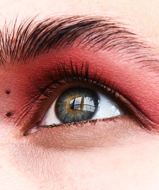 Close-up shot of a human eye with red eyeshadow and eyebrow. Window reflection visible in the eye. Macro beauty shot.