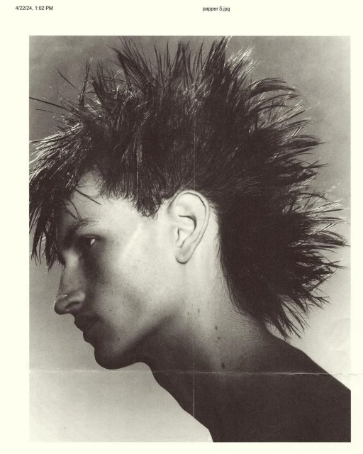 Monochromatic portrait of a young adult with a distinctive mohawk hairstyle, captured in a studio setting with a neutral background.