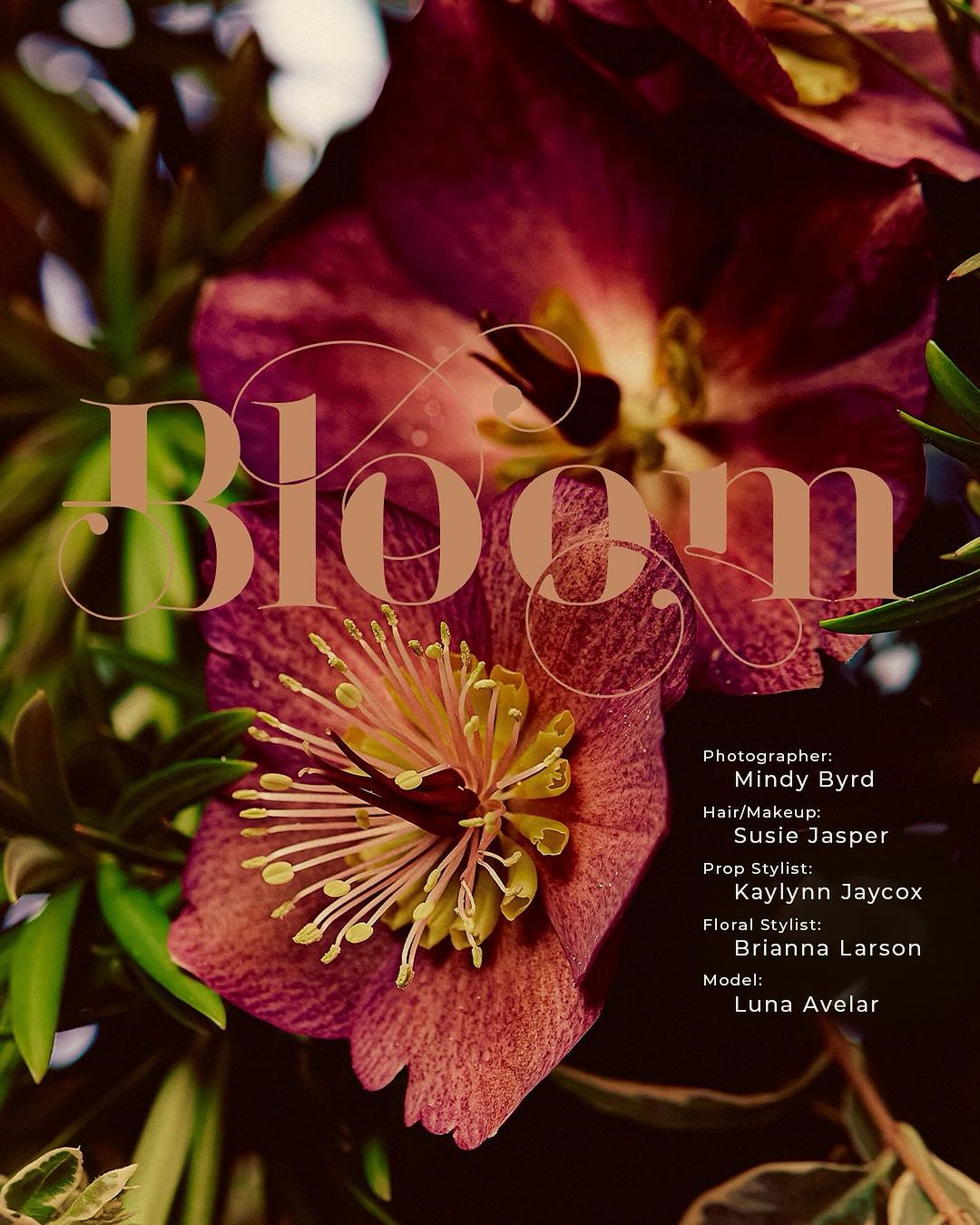 Macro photo showcases a large pink hellebore flower with yellow stamens, surrounded by lush green leaves and twigs, creating a vibrant botanical display.