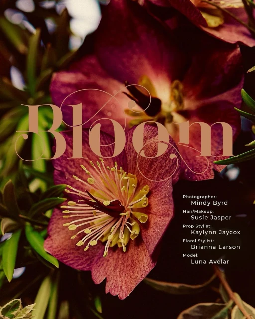 Macro photo showcases a large pink hellebore flower with yellow stamens, surrounded by lush green leaves and twigs, creating a vibrant botanical display.