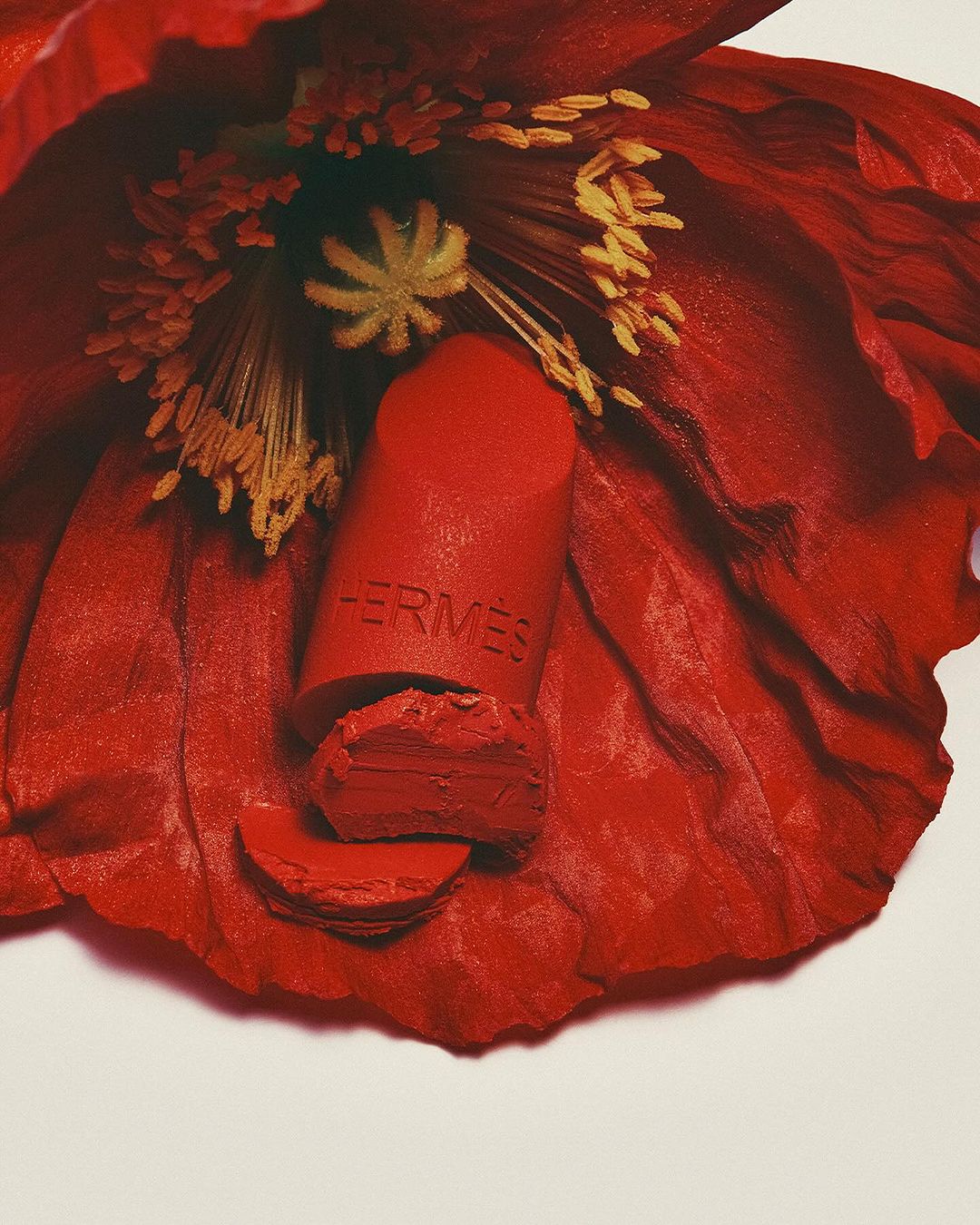 A close-up shot features red lipstick nestled within the petals of a vibrant red flower, creating a striking beauty still life composition.