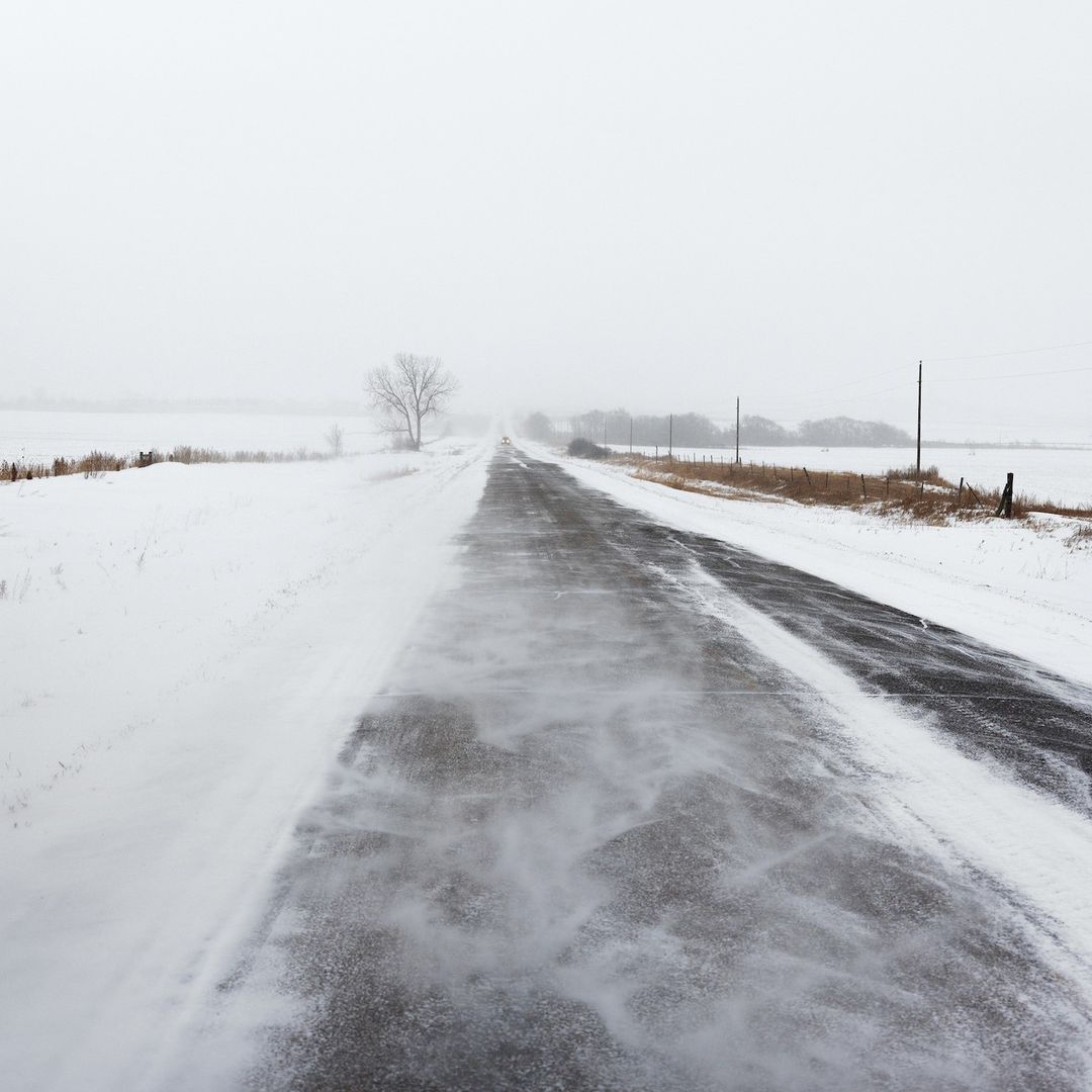 A snowy rural road stretches into the distance with blowing snow and a bare tree on the left in a winter landscape.