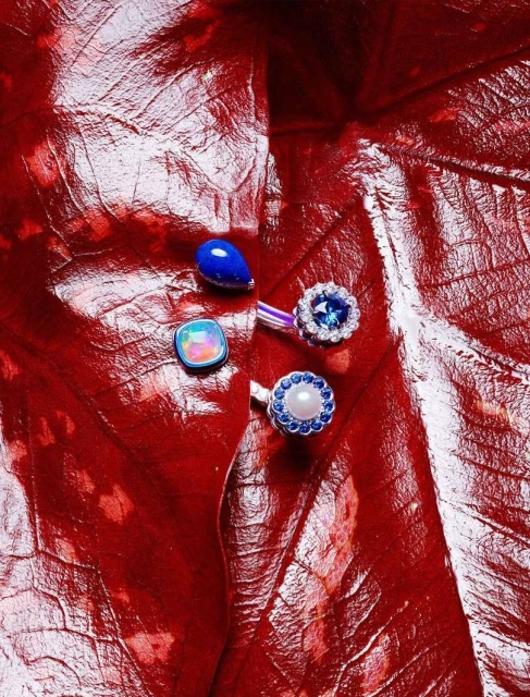 Close-up of shiny red leaf with jewelry, including blue and opal stones with pearl and flower designs, arranged on leaf surface.