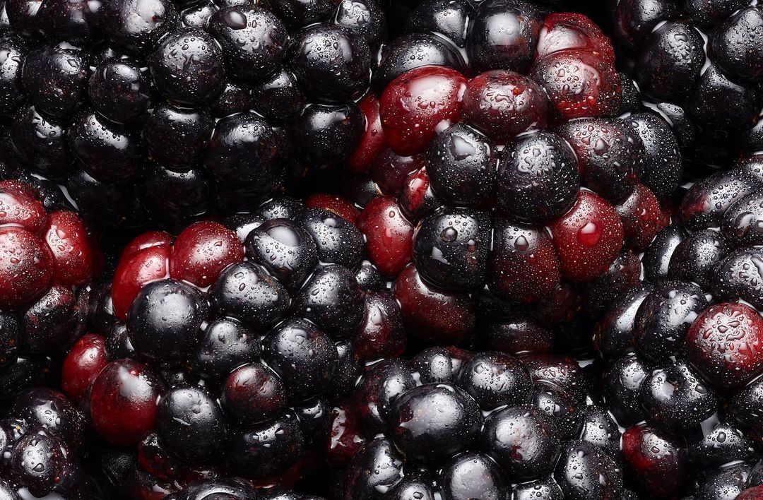 Close-up of fresh blackberries with water droplets. Dark and red hues. Fresh, ripe, and juicy blackberries.