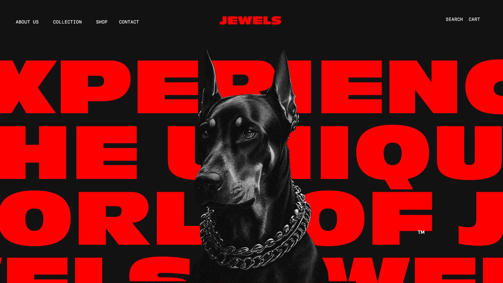 A black Doberman wearing a silver chain collar centered against a black background with large bold red typography behind it