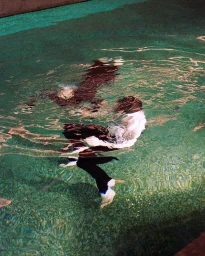 Two figures swimming underwater in a pool with teal green water and textured tile bottom